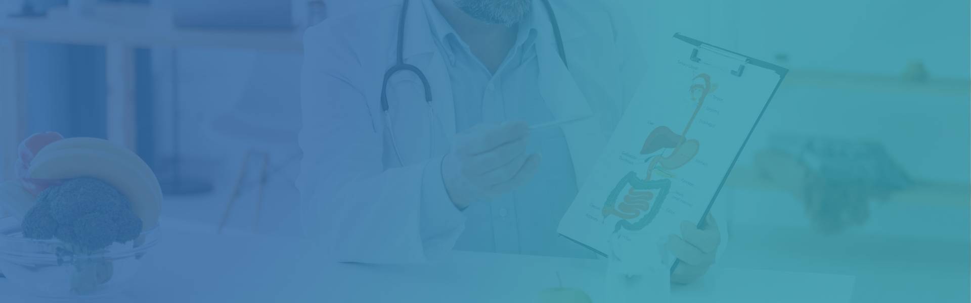 Doctor ensenyant esquema òrgans digestius